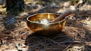 Tibetan Singing Bowls with Koshi Chimes  Soothing Meditation Music for Healing amp Mindfulness 🌸 [upl. by Izogn]