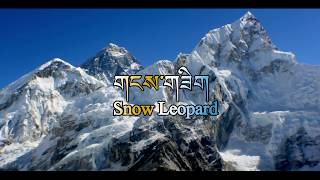 KHANG ZHIG Snow Leopard  A Sherpa Song from Khumbu Nepal [upl. by Weiman]