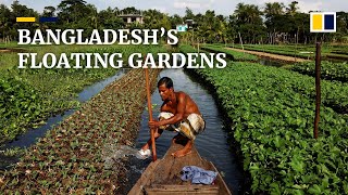 Floating farms in Bangladesh enables yearround farming [upl. by Saul]