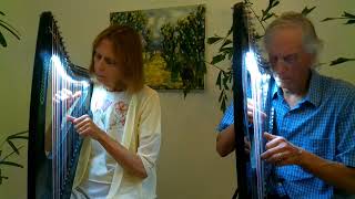 Two Harps playiing OCarolans Air with Hayden carbon fiber harps [upl. by Lledo287]