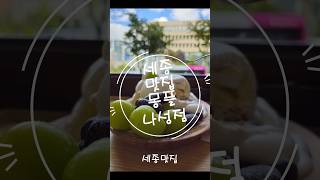 세종맛집 몽플 나성점 수플레 맛집 세종맛집 [upl. by Dickey]