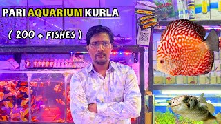 Pari aquarium kurla wholsale fish market 🦈  new fish stock  ft satyam singh  ft aarif momin [upl. by Augusto245]