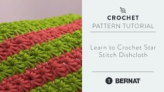 Learn to Crochet Star Stitch Dishcloth [upl. by Aimek]