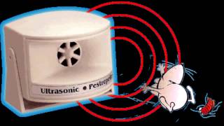 Sunet Ultrasonic Anti Soareci [upl. by Geminius14]