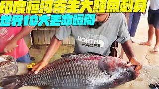 世界10大丟命瞬間！印度恒河寄生大鯉魚刺身？印度美食 街邊小吃 印度小吃搞笑視頻SAIWEN 這味道ZER一下就上來了維基紀錄片 [upl. by Adnik]