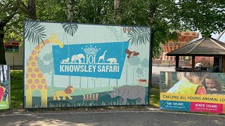 Knowsley Safari Park 2023  England 2023 [upl. by Fougere]