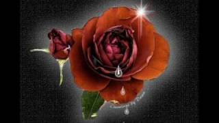 Eileen King  Til Each Tear Becomes A Rose [upl. by Rock]