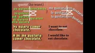 Querer Conjugation Mastering Querer Conjugation [upl. by Aziar369]