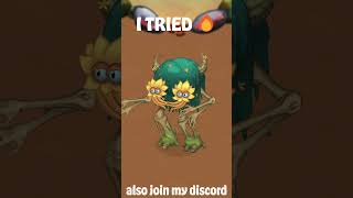 I TRIED 🔥msm mysingingmonsters gnarls amberisland [upl. by Seppala556]