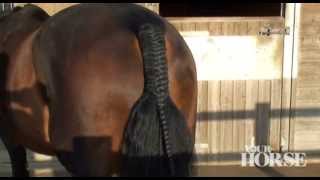 How to plait a tail  Your Horse [upl. by Lorry]