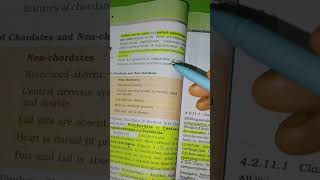 Animal Kingdom  Phylum Chordata 🩻 neet biology education facts pw [upl. by Aynwat]