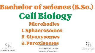 Microbodies  Sphaerosomes  Peroxisomes  Glyoxysomes  Cell Biology  For BSc students [upl. by Kolivas76]