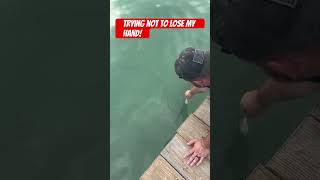 Tarpon Feeding  Robbie’s in the Key’s These are huge tarponfeeding robbies floridakeys [upl. by Letsirc442]