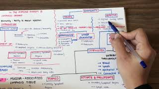 Introduction To Immune System In Hindi From Junqueira [upl. by Knute]