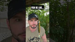 the quotmaster baiterquot 😂 fishing fish fishingvideo fishinglife [upl. by Nelrah549]