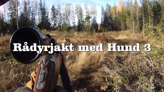 Rådyrjakt med hund 3 [upl. by Eintirb]