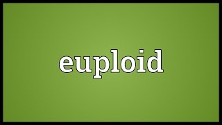 Euploid Meaning [upl. by Artenak]