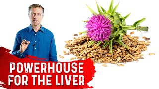 Silymarin in Milk Thistle is a Powerhouse for the Liver [upl. by Eleph]