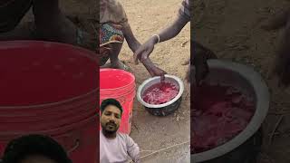 Ek ase cast hadzabetribe food villagelife fish cooking [upl. by Othello440]