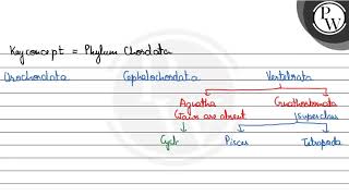 Fill in the blanks \ \mathrmP \ Vertebrata W  1 asubphylum bchondrichthyes costeicht [upl. by Oakes]