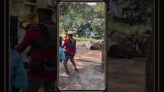 The Making of a Fighter Jiivas Raw Fight Scene in Varalaru Mukkiyam sgsdigital ytshorts shorts [upl. by Oibaf]