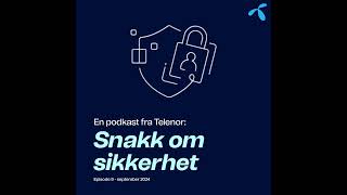 Snakk om sikkerhet 9  Desinformasjon og sikkerhet for deg og meg [upl. by Alie]