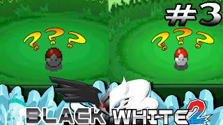 Pokémon Black n White 2 Randomizer 3  Procurando Herdier [upl. by Eisse168]