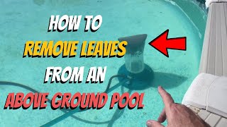 How to Effectively Remove Leaves from Above Ground Pool Guaranteed [upl. by Emilio]