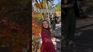 Watch this before you go for a hike at Seoraksan National Park 🍁 solotravel sokcho koreahiking [upl. by Eudocia]