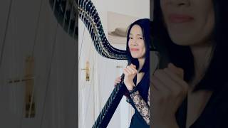 Madeleine Peyroux  La Javanaise harp cover short [upl. by Coreen]