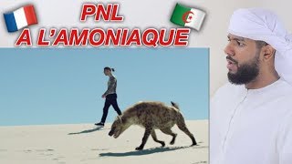 رد فعل خليجي على أغنية بي أن آل في PNL  A lAmmoniaque مش معقول [upl. by Solberg792]