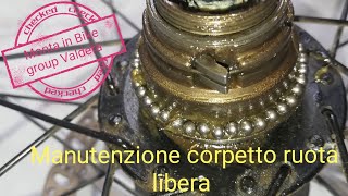 Manutenzione corpetto ruota libera Mtb [upl. by Nitnerb988]