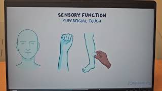 Neurologic System  Examination Findings [upl. by Xyla]