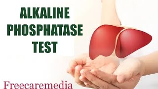 Alp test malayalam Alkaline phosphatase testliver livercancer liverfunction [upl. by Nitsugua]