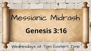 Messianic Midrash Genesis 316 [upl. by Sidoney318]