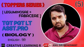 लेग्युमिनोसी PLANT FAIMLY  BIOLOGY  FABACAE फैबेसी TGT PGT LTGRADE NEET FULLYTOPIC ANIL SIR [upl. by Jamin]