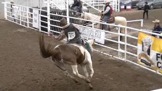 UHSRA Bareback amp Saddle Bronc at the Bridgerland Rodeo Tremonton UT April 20 2013 [upl. by Rosenblast341]