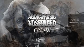 Agoraphobic Nosebleed  Gnaw Guitar Cover [upl. by Aneeras]