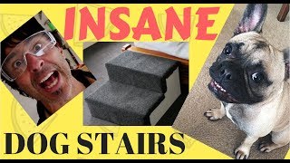 Build your own INSANE Dog Stairs [upl. by Tnomad]