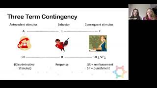 ThreeTerm Contingency in ABA Mastering the ABCs of ABA [upl. by Goggin]