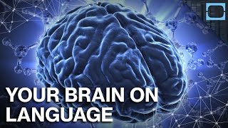 How Does Language Change Your Brain [upl. by Palmira]