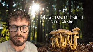 A New Chapter Mushroom Farm [upl. by Barstow]