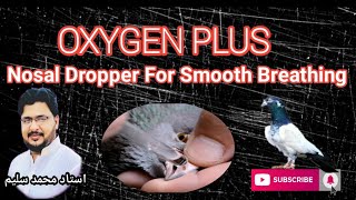 Pigeon Smooth Breething DropperOxygen Plus [upl. by Nnairda353]