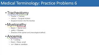 Medical Terminology  The Basics and Anatomy  Practice Problems Set 1 [upl. by Bernadine807]