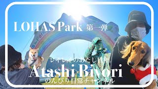 【LOHAS Park】第一弾‼️美味しいもの✨いいお買い物したよ [upl. by Jamel]