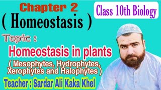 Homeostasis in Plants  Osmoregulation in plants   Class 10 Biology  Armaghan Tution Academy [upl. by Blane]