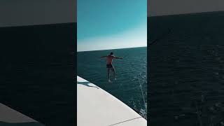 Dive into Fun kitesafari boatlife yachtlife yacht travel lakelife [upl. by Ainezey]