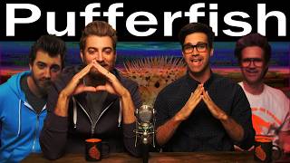 The Good Mythical Morning Iceberg Fully Explained Supercut [upl. by Bowen]