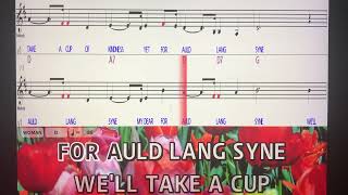 quotAuld Lang SynequotKaraokeNotesLyricsBandurriaFluteViolin [upl. by Johann]