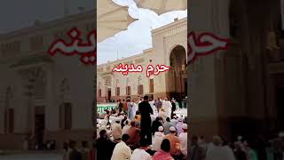 حرم مدینہ منورہ میں رونقیں ❤️❤️❤️ allah madinaa viralvideo youtubeshorts viralreels naat vip [upl. by Bagley]